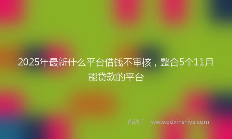 2025年最新什么平台借钱不审核，整合5个11月能贷款的平台
