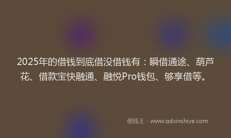 2025年的借钱到底借没借钱有：瞬借通途、葫芦花、借款宝快融通、融悦Pro钱包、够享借等。