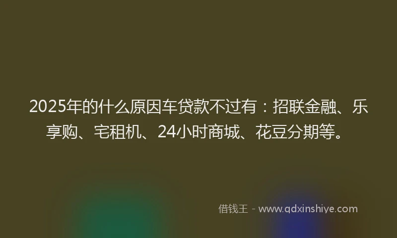 2025年的什么原因车贷款不过有：招联金融、乐享购、宅租机、24小时商城、花豆分期等。