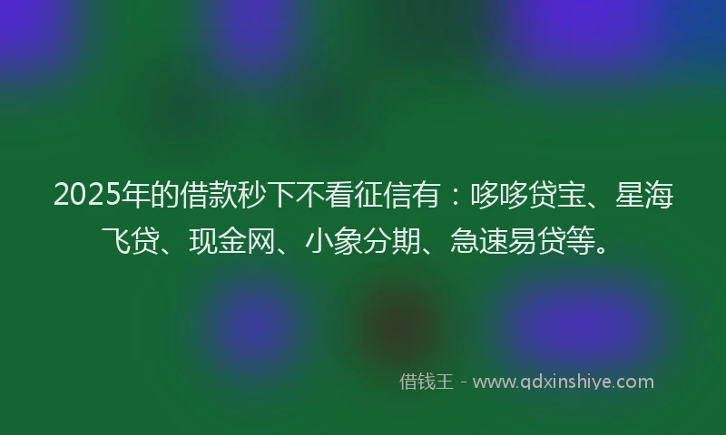 2025年的借款秒下不看征信有：哆哆贷宝、星海飞贷、现金网、小象分期、急速易贷等。