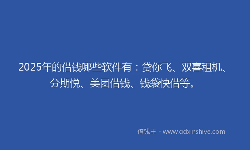 2025年的借钱哪些软件有：贷你飞、双喜租机、分期悦、美团借钱、钱袋快借等。