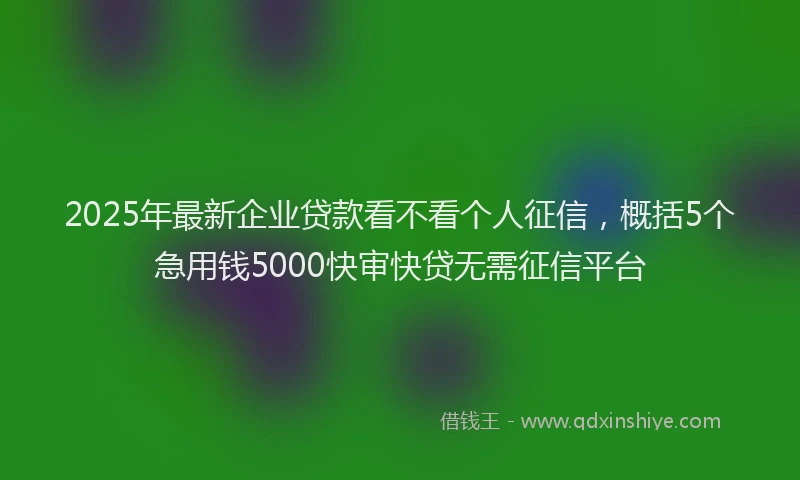 2025年最新企业贷款看不看个人征信，概括5个急用钱5000快审快贷无需征信平台