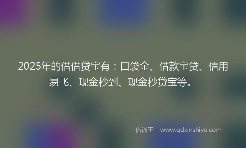 2025年的借借贷宝有：口袋金、借款宝贷、信用易飞、现金秒到、现金秒贷宝等。