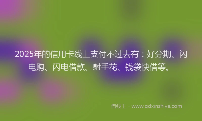 2025年的信用卡线上支付不过去有：好分期、闪电购、闪电借款、射手花、钱袋快借等。