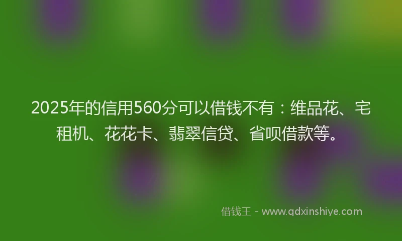 2025年的信用560分可以借钱不有：维品花、宅租机、花花卡、翡翠信贷、省呗借款等。