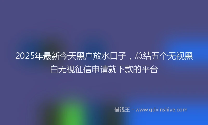 2025年最新今天黑户放水口子，总结五个无视黑白无视征信申请就下款的平台