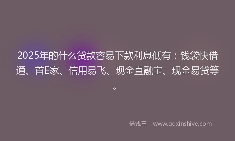 2025年的什么贷款容易下款利息低有：钱袋快借通、首E家、信用易飞、现金直融宝、现金易贷等。