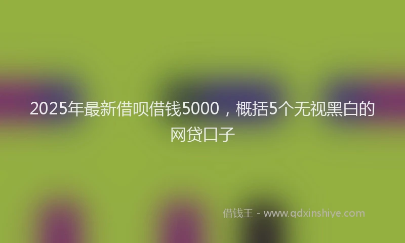 2025年最新借呗借钱5000，概括5个无视黑白的网贷口子