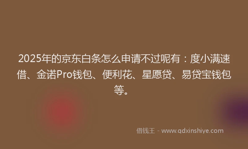 2025年的京东白条怎么申请不过呢有：度小满速借、金诺Pro钱包、便利花、星愿贷、易贷宝钱包等。