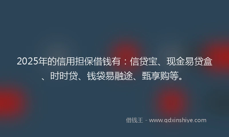 2025年的信用担保借钱有：信贷宝、现金易贷盒、时时贷、钱袋易融途、甄享购等。