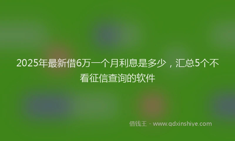 2025年最新借6万一个月利息是多少，汇总5个不看征信查询的软件