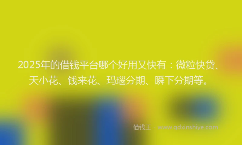 2025年的借钱平台哪个好用又快有：微粒快贷、天小花、钱来花、玛瑙分期、瞬下分期等。