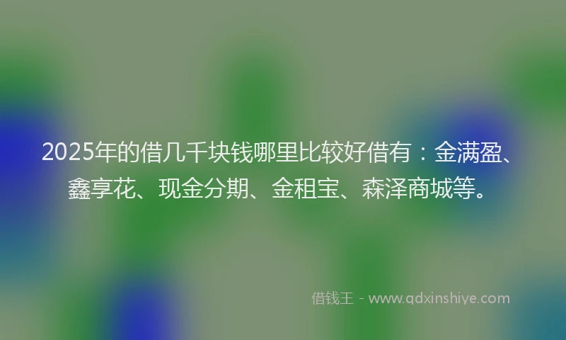 2025年的借几千块钱哪里比较好借有：金满盈、鑫享花、现金分期、金租宝、森泽商城等。
