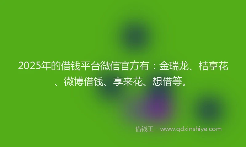 2025年的借钱平台微信官方有：金瑞龙、桔享花、微博借钱、享来花、想借等。
