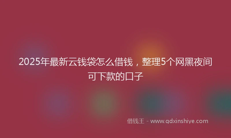 2025年最新云钱袋怎么借钱，整理5个网黑夜间可下款的口子