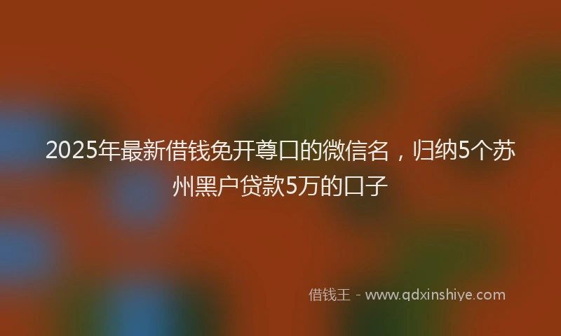 2025年最新借钱免开尊口的微信名，归纳5个苏州黑户贷款5万的口子