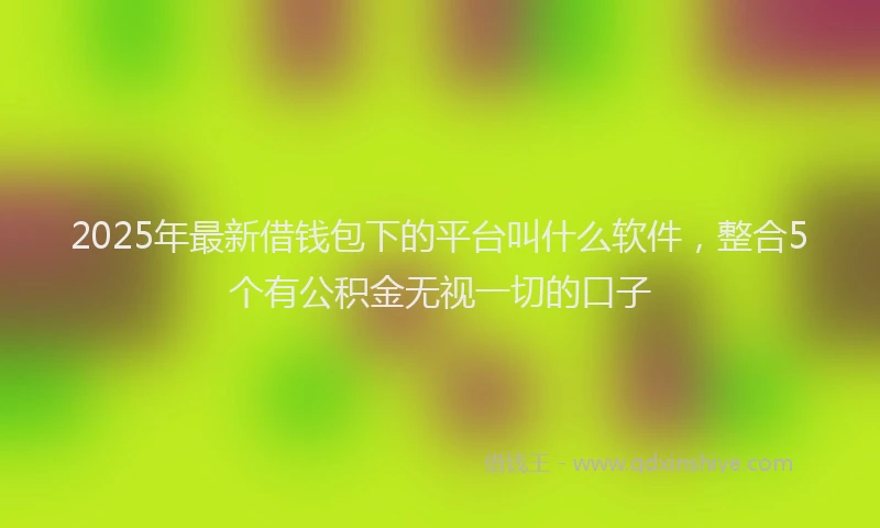 2025年最新借钱包下的平台叫什么软件，整合5个有公积金无视一切的口子