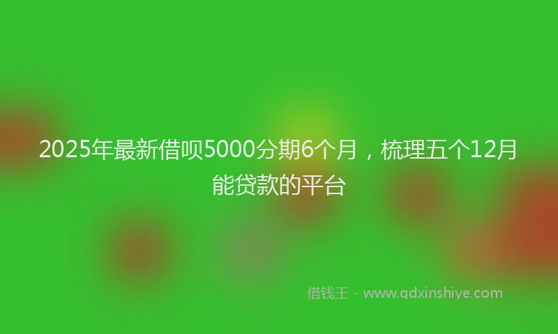 2025年最新借呗5000分期6个月，梳理五个12月能贷款的平台