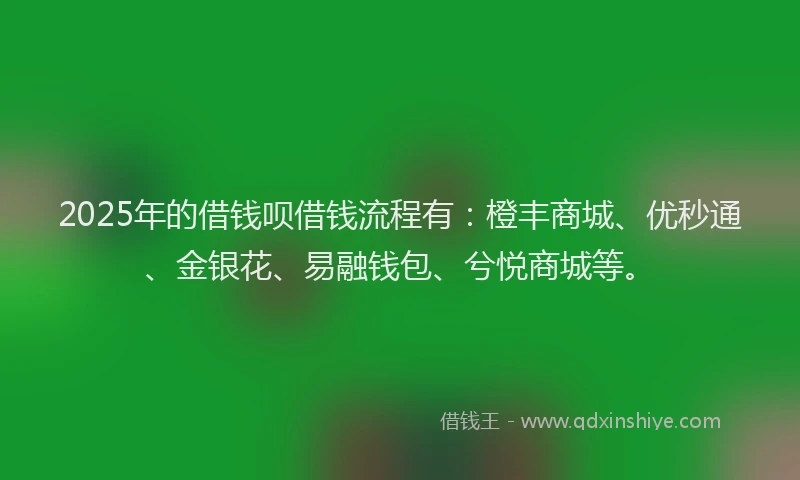 2025年的借钱呗借钱流程有：橙丰商城、优秒通、金银花、易融钱包、兮悦商城等。