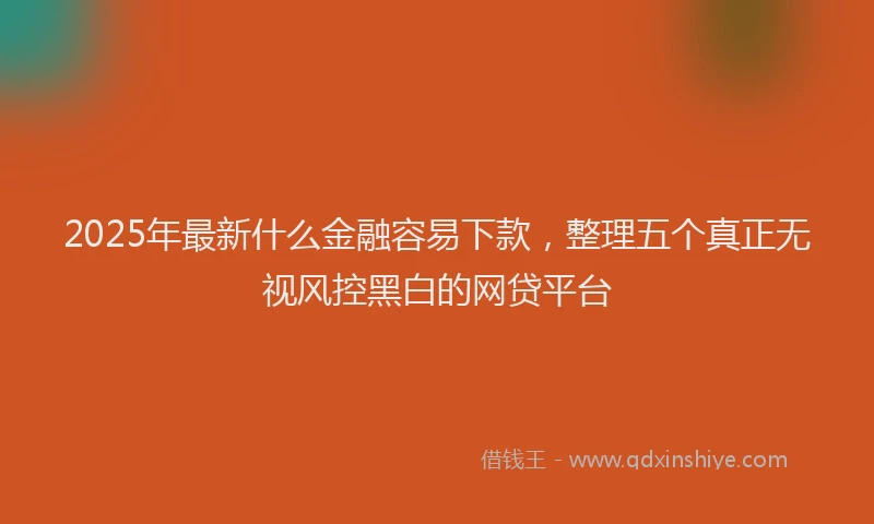 2025年最新什么金融容易下款，整理五个真正无视风控黑白的网贷平台