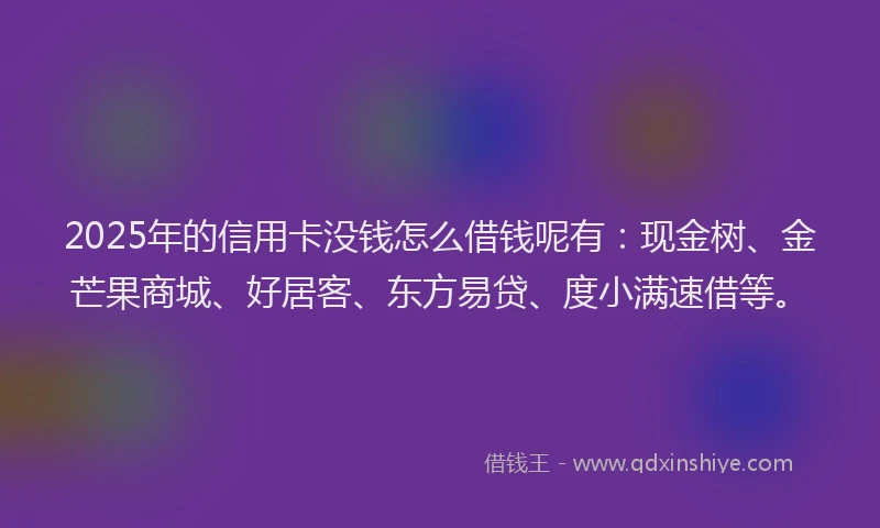 2025年的信用卡没钱怎么借钱呢有：现金树、金芒果商城、好居客、东方易贷、度小满速借等。
