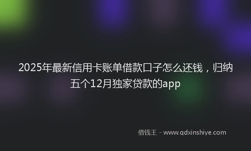 2025年最新信用卡账单借款口子怎么还钱，归纳五个12月独家贷款的app