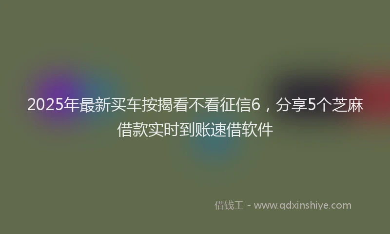 2025年最新买车按揭看不看征信6，分享5个芝麻借款实时到账速借软件