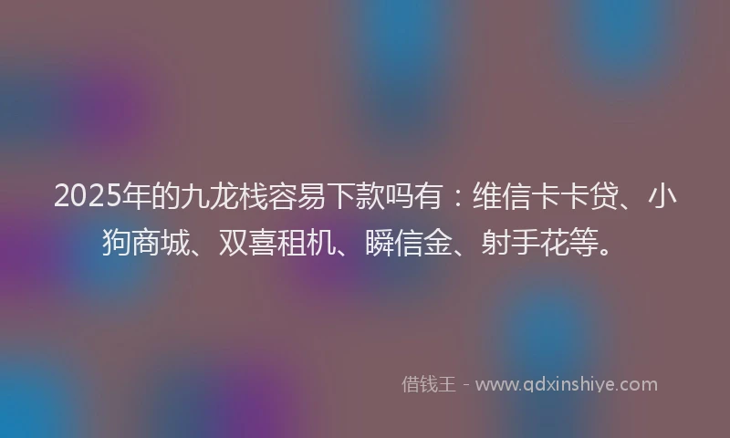 2025年的九龙栈容易下款吗有：维信卡卡贷、小狗商城、双喜租机、瞬信金、射手花等。