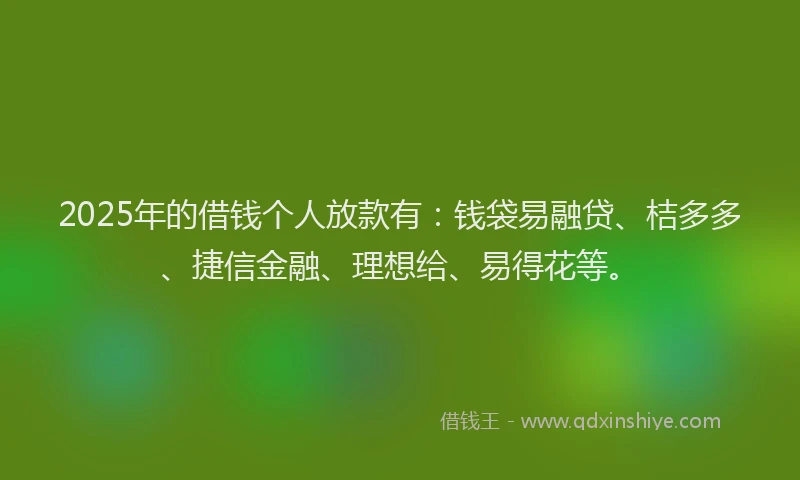 2025年的借钱个人放款有：钱袋易融贷、桔多多、捷信金融、理想给、易得花等。