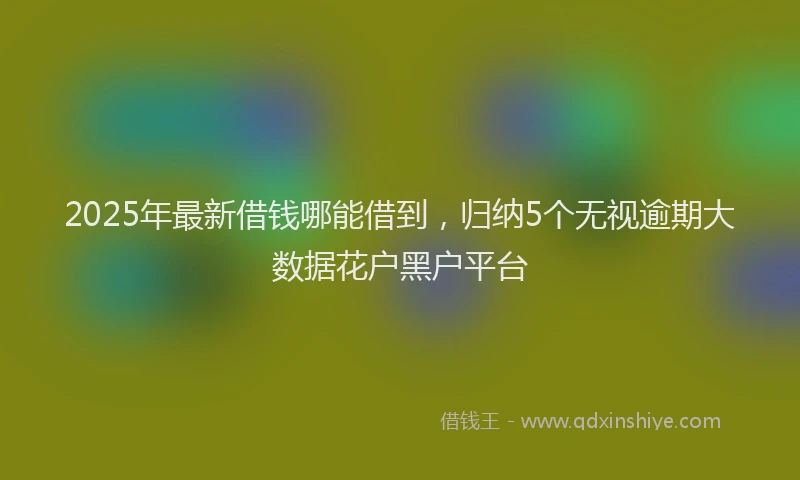 2025年最新借钱哪能借到，归纳5个无视逾期大数据花户黑户平台