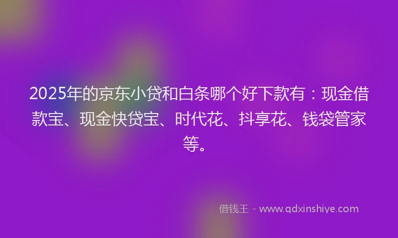 2025年的京东小贷和白条哪个好下款有：现金借款宝、现金快贷宝、时代花、抖享花、钱袋管家等。