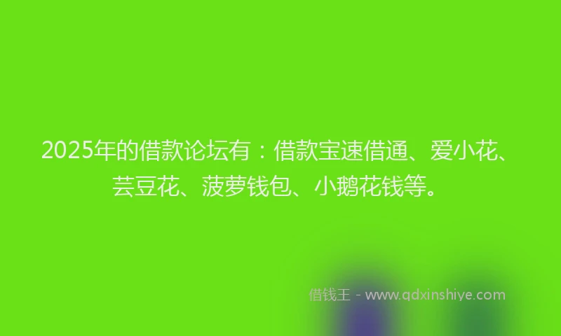 2025年的借款论坛有：借款宝速借通、爱小花、芸豆花、菠萝钱包、小鹅花钱等。