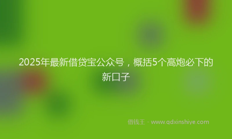 2025年最新借贷宝公众号，概括5个高炮必下的新口子