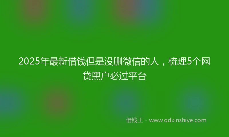 2025年最新借钱但是没删微信的人，梳理5个网贷黑户必过平台