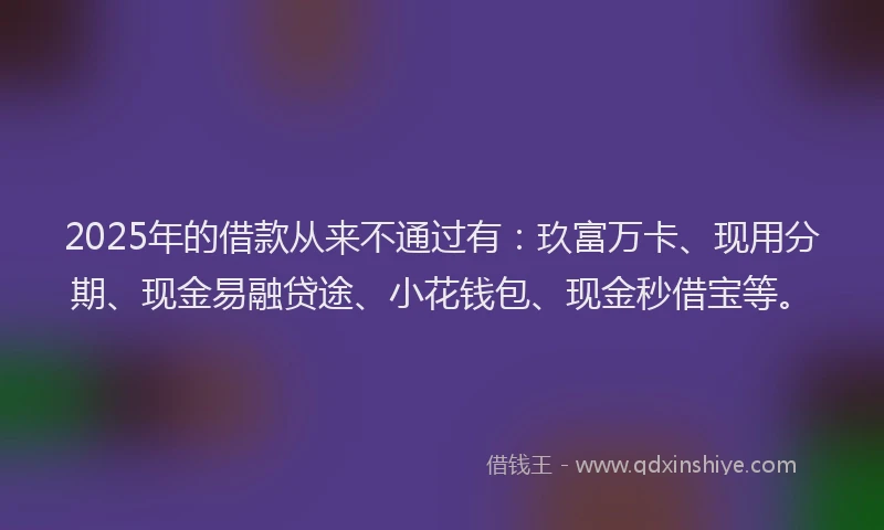 2025年的借款从来不通过有:玖富万卡、现用分期、现金易融贷途、小花钱包、现金秒借宝等。