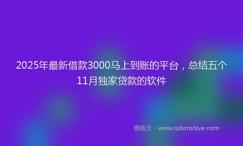 2025年最新借款3000马上到账的平台，总结五个11月独家贷款的软件
