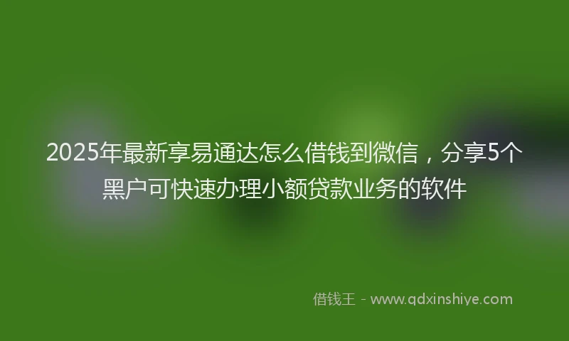 2025年最新享易通达怎么借钱到微信，分享5个黑户可快速办理小额贷款业务的软件