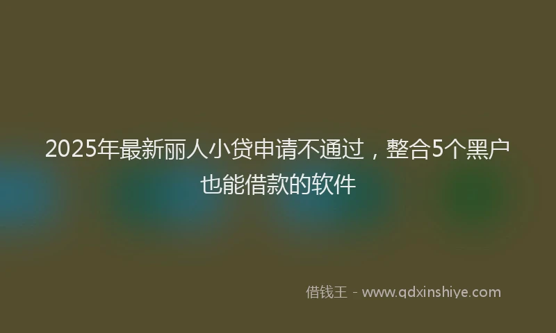 2025年最新丽人小贷申请不通过，整合5个黑户也能借款的软件
