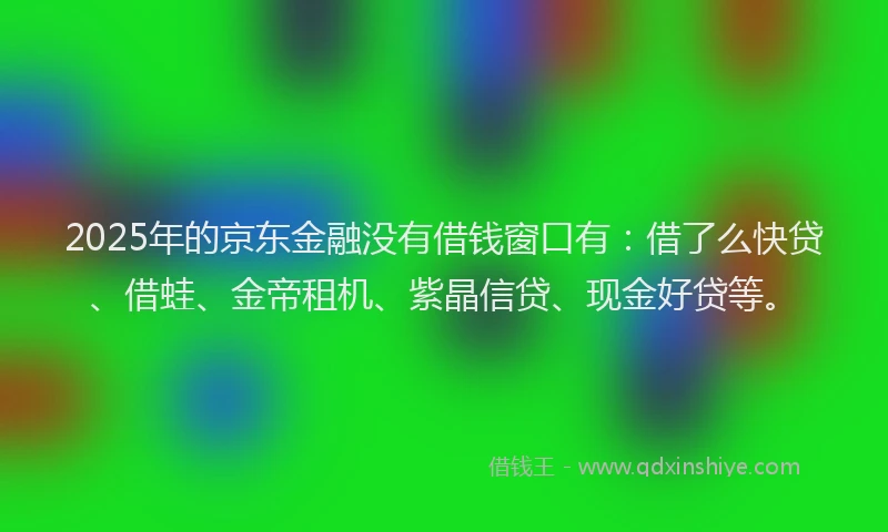 2025年的京东金融没有借钱窗口有：借了么快贷、借蛙、金帝租机、紫晶信贷、现金好贷等。