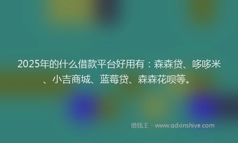 2025年的什么借款平台好用有：森森贷、哆哆米、小吉商城、蓝莓贷、森森花呗等。