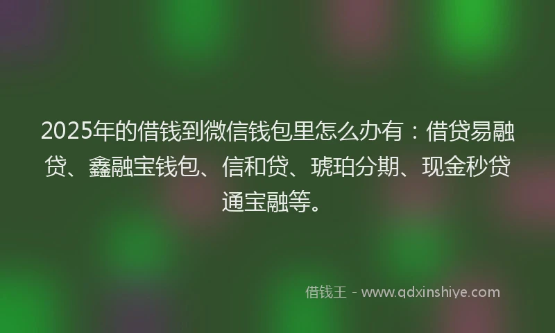 2025年的借钱到微信钱包里怎么办有：借贷易融贷、鑫融宝钱包、信和贷、琥珀分期、现金秒贷通宝融等。