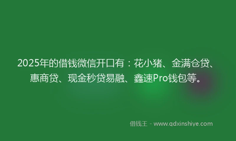 2025年的借钱微信开口有：花小猪、金满仓贷、惠商贷、现金秒贷易融、鑫速Pro钱包等。