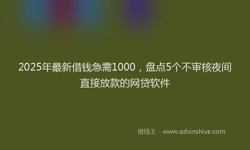 2025年最新借钱急需1000，盘点5个不审核夜间直接放款的网贷软件