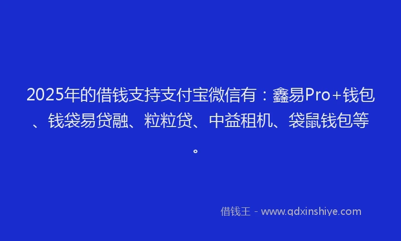 2025年的借钱支持支付宝微信有：鑫易Pro+钱包、钱袋易贷融、粒粒贷、中益租机、袋鼠钱包等。