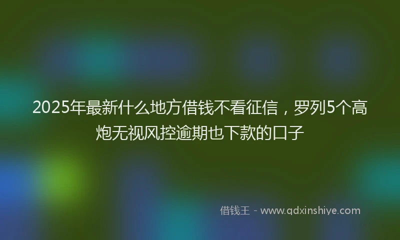 2025年最新什么地方借钱不看征信，罗列5个高炮无视风控逾期也下款的口子