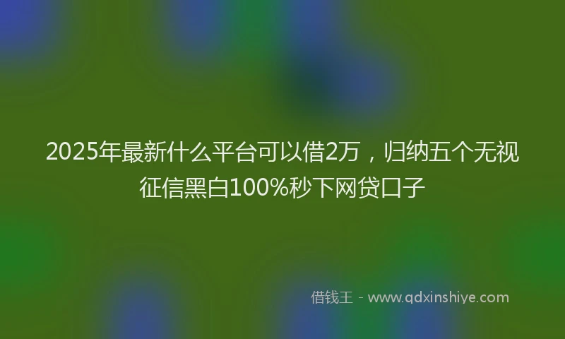 2025年最新什么平台可以借2万，归纳五个无视征信黑白100%秒下网贷口子