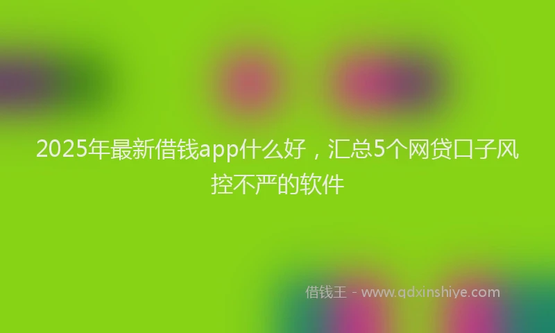 2025年最新借钱app什么好，汇总5个网贷口子风控不严的软件
