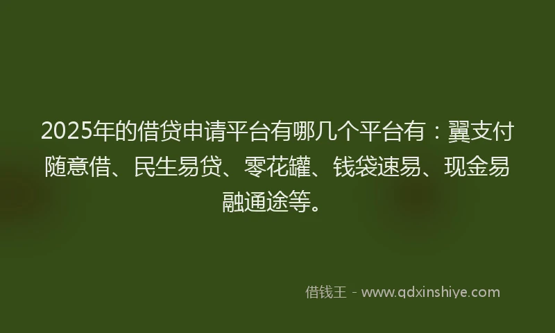 2025年的借贷申请平台有哪几个平台有：翼支付随意借、民生易贷、零花罐、钱袋速易、现金易融通途等。