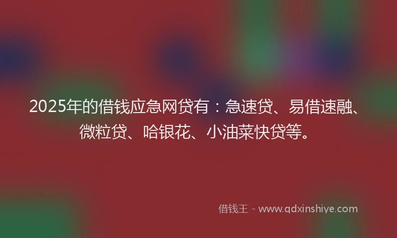 2025年的借钱应急网贷有：急速贷、易借速融、微粒贷、哈银花、小油菜快贷等。