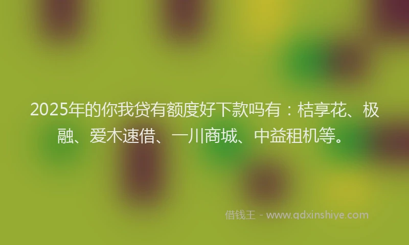 2025年的你我贷有额度好下款吗有：桔享花、极融、爱木速借、一川商城、中益租机等。